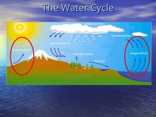 Year 7 Lower Secondary Water Cycle Powerpoint | PPT