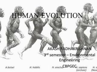 HUMAN EVOLUTION
AKASH RADHAKRISHNAN
3rd semester – Environmental
Engineering
CBPGEC
 