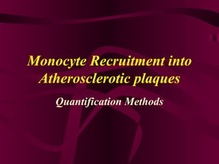 Monocyte Recruitment into
Atherosclerotic plaques
Quantification Methods
 