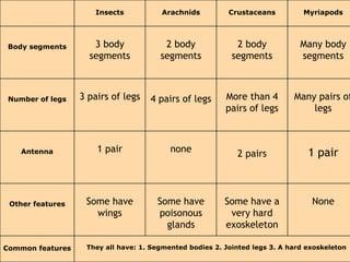 Y9 Ch01 classification of living things 2022.pptx