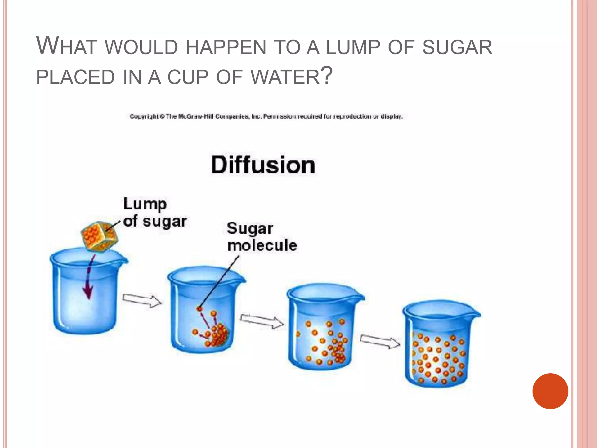 WHAT WOULD HAPPEN TO A LUMP OF SUGAR
PLACED IN A CUP OF WATER?
 