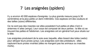 7 Les araignées (spiders)
Il y a environ 40 000 espèces d'araignée. La plus grande mesure jusqu’à 30
centimètres et la plus petite un demi millimètre. Ces espèces ont des couleurs et
des tailles (sizes) différentes.
Ce ne sont pas des insectes car elles possèdent huit pattes et elles n'ont ni
antennes ni ailes (wings). Leur corps est composé de deux parties : la tête où se
trouvent les pattes et l'abdomen. Les araignées ont en général huit yeux situés sur
la tête.
Les araignées produisent de la soie avec laquelle, elles tissent des toiles (webs)
pour attraper leurs proies (prey). Les araignées sont des prédateurs : elles
capturent leurs proies vivantes (elles ne mangent pas les animaux ou insectes
morts).
 
