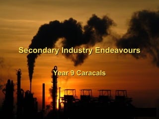 Secondary Industry Endeavours

        Year 9 Caracals




                                1
 