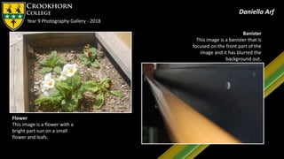 Year 9 Photography Gallery - 2018
Daniella Arf
Flower
This image is a flower with a
bright part sun on a small
flower and leafs.
Banister
This image is a banister that is
focused on the front part of the
image and it has blurred the
background out.
 
