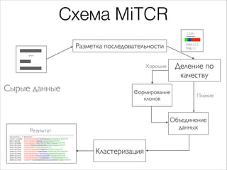 Схема MiTCR
CDR3

Разметка последовательности

...

TRBV12-2
TRBJ1-3

Деление по
качеству

Хорошие

Сырые данные

Формиров...