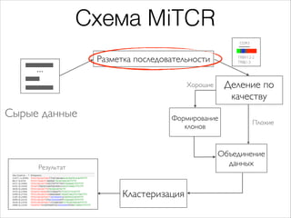 Схема MiTCR
CDR3

Разметка последовательности

...

TRBV12-2
TRBJ1-3

Деление по
качеству

Хорошие

Сырые данные

Формиров...
