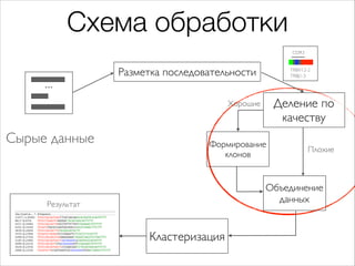 Схема обработки
CDR3

Разметка последовательности

...

TRBV12-2
TRBJ1-3

Деление по
качеству

Хорошие

Сырые данные

Форм...