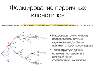 Формирование первичных
клонотипов
GGCGCGAAAGCAGTGGTATCAACGCAGAGTTCACTGCAATTCAGTCTTGGGGAGCCCCAAGCTAGGAGATCCTGCCATGGGCTTC

И...
