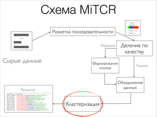 Схема MiTCR
CDR3

Разметка последовательности

...

TRBV12-2
TRBJ1-3

Деление по
качеству

Хорошие

Сырые данные

Формиров...