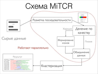Схема MiTCR
CDR3

Разметка последовательности

...

TRBV12-2
TRBJ1-3

Деление по
качеству

Хорошие

Сырые данные

Формиров...
