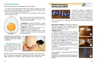 52 53
ЩО ВСЕРЕДИНІ ЯЙЦЯ?
1. За якими ознаками птахів відрізняють від інших тварин?
Усі види птахів відкладають яйця. Якщо яйця запліднені, вони бу-
дуть містити пташиний ембріон. Він розвиватиметься всередині яйця,
аж поки пташеня буде готове вилупитися.
Курячі яйця, які продають у магазинах, не запліднені, тому курчата
з них не вилупляться.
2. Які частини яйця ви можете назвати?
3. Розбийте шкаралупу курячого яйця
і розгляньте, що всередині.
Шкаралупа захищає внутрішню частину
яйця. У ній є тисячі маленьких отворів, що
пропускають повітря.
Жовток містить білки та жири, які за-
безпечують живлення ембріона.
Білок постачає ембріону вологу, захи-
щає його від ударів, убезпечує від перепа-
дів температури.
4. Використавши наведені дані,
намалюйте найбільше і  наймен-
ше яйце сучасних птахів. Які дані
є зайвими?
Яйце африканського стра-
уса: довжина 180  мм, шири-
на 140  мм, вага 1  кг 200 г.
Яйце колібрі-джмеля: дов-
жина 13  мм, ширина 8  мм,
вага пів грама.
5. Яйце — ​
один з етапів життєвого циклу птахів. Розкажіть про решту етапів.
6. Підготуйте презентацію «Порівняння життєвих циклів комах, земно-
водних, птахів і ссавців». Створіть малюнки, схеми, таблиці тощо.
Організм людини складається
з клітин. У кожній клітині є мікроско-
пічна спіраль, схожа на закручену
драбину. Її називають ДНК (де ен
ка). Вона зберігає і передає від по­
коління до покоління інформацію.
ДНК також містить «інструкцію» для
клітин. Це схоже на комп’ютерну про­
граму, яка вказує комп’ютеру,
що робити.
Моделювання.
Молекула ДНК
Для роботи потрібні: два види кольорового
синельного дроту (по 2 відрізки кожного
кольору завдовжки по 30 см), кольорові со-
ломинки для напоїв, ножиці.
Порядок роботи
1. Наріжте синельний дріт білого кольору
на смужки завдовжки 5  см, а  соломинки
для напоїв — ​
на частинки завдовжки 0,5 см.
2. Нанизуйте частинки соломинок на відріз-
ки дроту, як на фото. Залиште трохи місця
на кінцях, щоб загнути їх навколо ниток по-
двійної спіралі. Увага: одна і та сама пара
кольорів має завжди бути разом.
3. З’єднайте довгий синельний дріт і части-
ни дроту з  нанизаними на них частинками
соломинок.
4. Вигніть отриману конструкцію так, щоб
вона стала схожа на спіраль.
1. Що станеться, на вашу думку, якщо ДНК буде
пошкоджено?
2. Дізнайтеся, чим займається генна інженерія. Це
добре чи погано? Що таке генетично модифіковані
рослини?
1
2
3
 