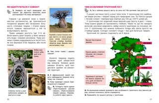 20 21
ЧИМ ОСОБЛИВИЙ ТРОПІЧНИЙ ЛІС?
1. Чи є поблизу вашого міста чи села ліс? Які рослини там ростуть?
У різних частинах світу є різні типи лісів. У тропічному лісі найбіль-
ше видів рослин і тварин серед усіх природних зон. Тут багато дощів
і теплий клімат: температура повітря від +20 до +34 о
С цілий рік.
У тропічному лісі родючий лише верхній шар ґрунту, а далі — ​
глина.
Тому корені дерев не проникають глибоко. Через те, що ліс занадто
вологий, рослини виділяють зайву вологу краплями на кінчиках ли-
стя. У  тропічному лісі можна побачити плоди або квіти просто на
стовбурі дерев. Солодкі соковиті плоди — ​
їжа для багатьох тварин.
Тропічний ліс умовно поділяють на 4 яруси.
Баобаб у сезон посухи ски-
дає листя, а в сезон дощів
воно знову з’являється.
Товстий стовбур баобаба
зберігає воду. Дерево має
вогнетривку кору.
Зебра має
пласкі зуби,
щоб їсти
траву.
ЯК АДАПТУЮТЬСЯ У САВАНІ?
1. Знайдіть на карті природних зон
савани. Де відносно екватора вони
розташовані? На яких материках?
Савани — ​
це рівнинні зони з  тра­
в’я­
нистою рослинністю, де трапляються
поодинокі дерева або чагарники. Біль-
шість степових тварин і  птахів харчу-
ються травою, маскуються у  ній та
влаштовують житло.
Трави швидко ростуть (до  3–4  м).
Вони мають довгі корені, у яких запаса-
ють воду і поживні речовини. Тому рос-
лини стрімко відроджуються після того,
як їхні верхівки з’їли тварини, або після
пожеж.
2. Чим схожі трави і  дерева
савани?
Копитні тварини ходять
стадами, щоб уберегтися
від хижаків. Хижаки дуже
швидко бігають, щоб наз-
догнати здобич на рівнин-
ній території.
3. В  африканській савані жи-
вуть найпрудкіші тварини світу.
Чому так сталося?
4. Чому травоїдні савани пере-
міщуються стадами?
5. Складіть карти думок
«Пристосування рослин
савани», «Пристосування
тварин савани». Перевір-
те ро­
боти одне одного.
Собачка лучна у разі
небезпеки швидко хо-
вається в норі.
2. За малюнком-схемою розкажіть про особливості тропічного лісу (висота де-
рев, скільки сонячного світла отримують).
3. Порівняйте ліс вашого регіону з тропічним.
Високі багаторічні
дерева.
100% 50-80М
Крони дерев, сплетені
ліанами, які утворю-
ють навіс.
95% 30-50М
Підлісок
5% 1-30М
Трав’янисті рослини,
які мають широке ли-
стя, щоб поглинати
більше світла.
2%
 