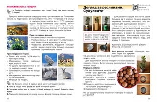 22 23
ЯК ВИЖИВАЮТЬ У ТУНДРІ?
1. Знайдіть на карті природних зон тундру. Чому там мало рослин
і тварин?
Тундра — ​
найхолодніша природна зона — ​
розташована за Полярним
колом, на територіях з вічною мерзлотою. Літо тут триває 2–3 місяці
з  температурою повітря до + 12 о
С, причому
відтає лише невеликий шар ґрунту. Улітку
сонце не заходить. Зима довга (8 місяців),
сніжна, із сильними вітрами і  температурою
до - ​
60 о
С. Узимку в тундрі панують сутінки.
Пристосування рослин
	 Рослини мають неглибоке коріння.
	
Рослини низькі й часто ростуть згруповано,
щоб захиститися від холоду й вітру.
	
Червоний, фіолетовий, бордовий кольори
квітів і  мохів притягують більше сонячних
променів і приваблюють птахів.
Пристосування тварин
	
Захист від холоду: густа шерсть,
прошарок жиру.
	
Збереження тепла: маленькі
вуха, короткі лапи.
	
Не дають провалюватися в  сні-
гу: широкі пухнасті лапи.
	
Запобігають ковзанню по льоду:
кігті.
	
Маскування: зміна кольору шер-
сті чи оперення.
	 Міграція на південь.
2. Запишіть спільні й відмінні риси арктичної тундри і пустелі.
3. Чому в тундрі немає дерев або вони потворної форми?
4. Чи може зебра жити в  тундрі, а  білий ведмідь — ​
у  савані? Доведіть свою
думку.
5. Порівняйте мініатюрну пустельну лисичку фенека і полярну лисицю песця.
Для рослини горщик має бути трохи
більшим за її коріння. На дно додають
керамічні черепки, пінопласт або ке-
рамзит для відтоку зайвої вологи.
Керамзит виготовляють із глини та
сланцю, отже, це екологічний матеріал.
Його використовують у  будівництві як
утеплювач, а  іноді і  як звукоізоляцій-
ний матеріал. Має пористу структуру,
завдяки чому легко вбирає воду, але
віддає її повільно.
Відповідно до розмірів рослини доберіть
бляшанку або навпаки.
Для роботи потрібні: бляшанка, дре-
наж, ґрунт для сукулен-
тів, рослини, матеріали для оздоблення, одноразова
ложка, вода.
Для оздоблення можна використати кольорову ізо-
ляційну стрічку, фетр, тканину, декоративні палички,
шпагат тощо.
Порядок роботи:
1.	
На дно бляшанки насипте неве-
ликий шар дренажу. Додайте
зверху шар ґрунту.
2.	
Поставте рослину в  горщик,
розправте коріння, підсипте
ґрунту.
3.	
Полийте, щоб ґрунт ущільнився.
За потреби додайте ґрунту.
4.	
Задекоруйте бляшанку.
Які ще предмети можна використати повторно як горщики
для рослин?
Догляд за рослинами.
Сукуленти
До уроку попросіть дорослих
зробити отвори у дні бля-
шанки та загнути гострі краї.
 