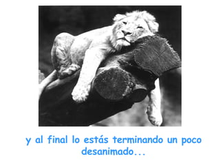 y al final lo estás terminando un poco desanimado... 