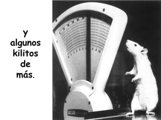 y algunos kilitos de más . 