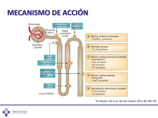 Ter Maaten, JM, et al. Nat Rev Cardiol. 2015; 12: 184-192
MECANISMO DE ACCIÓN
 