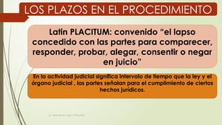 Derecho Procesal Civil: Plazos Procesales y su Regulación Legal | PPTX