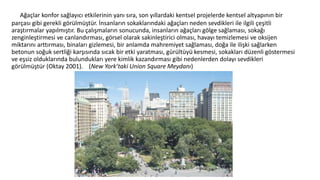 Ağaçlar konfor sağlayıcı etkilerinin yanı sıra, son yıllardaki kentsel projelerde kentsel altyapının bir
parçası gibi gerekli görülmüştür. İnsanların sokaklarındaki ağaçları neden sevdikleri ile ilgili çeşitli
araştırmalar yapılmıştır. Bu çalışmaların sonucunda, insanların ağaçları gölge sağlaması, sokağı
zenginleştirmesi ve canlandırması, görsel olarak sakinleştirici olması, havayı temizlemesi ve oksijen
miktarını arttırması, binaları gizlemesi, bir anlamda mahremiyet sağlaması, doğa ile ilişki sağlarken
betonun soğuk sertliği karşısında sıcak bir etki yaratması, gürültüyü kesmesi, sokakları düzenli göstermesi
ve eşsiz olduklarında bulundukları yere kimlik kazandırması gibi nedenlerden dolayı sevdikleri
görülmüştür (Oktay 2001). (New York’taki Union Square Meydanı)
 