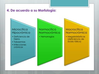 4. De acuerdo a su Morfología:
Microcítica
Hipocrómica
• Deficiencia de
hierro
• Talasemias
• Infecciones
crónicas
Normocítica
Normocrómica
• Hemorragias
Macrocítica
Normocrómica
• Megaloblásticas
(deficiencia de
ácido fólico)
 