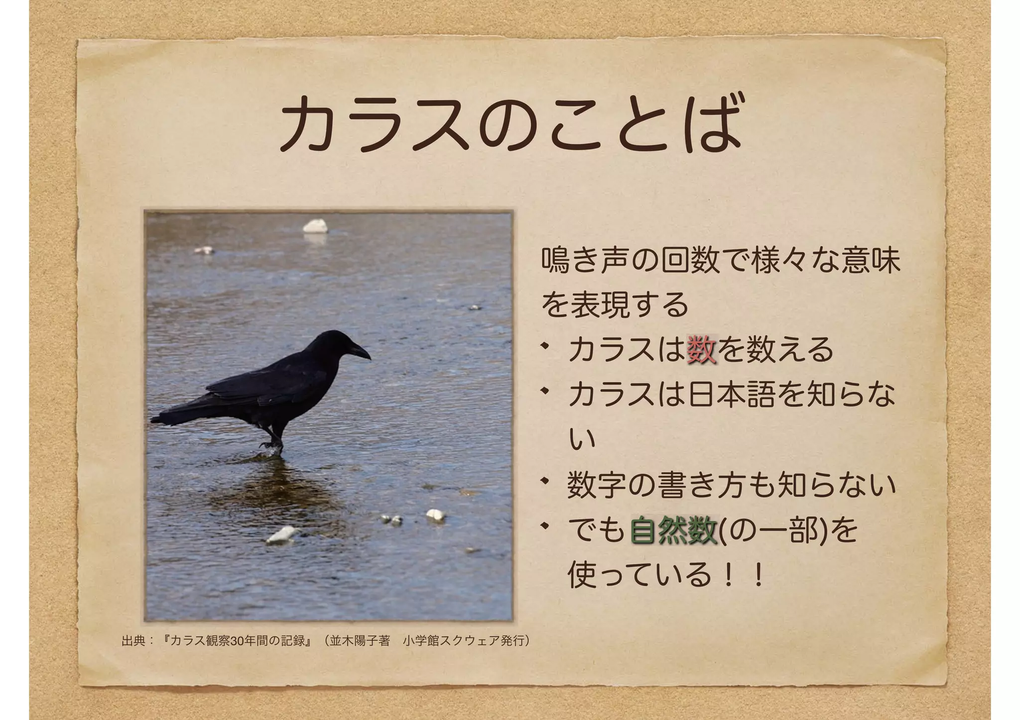 カラスのことば
鳴き声の回数で様々な意味
を表現する
カラスは数を数える
カラスは日本語を知らな
い
数字の書き方も知らない
でも自然数(の一部)を
使っている！！
出典：『カラス観察30年間の記録』（並木陽子著　小学館スクウェア発行）
 