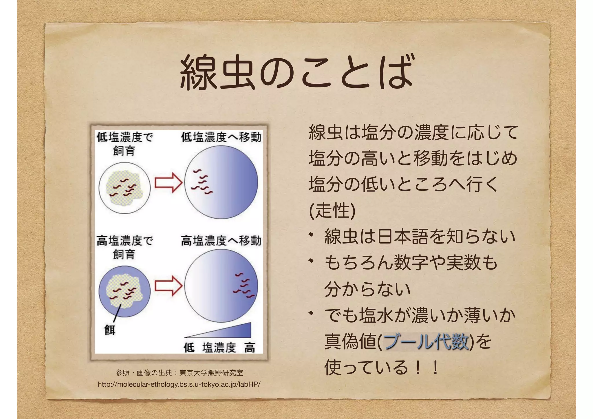 線虫のことば
線虫は塩分の濃度に応じて
塩分の高いと移動をはじめ
塩分の低いところへ行く 
(走性)
線虫は日本語を知らない
もちろん数字や実数も
分からない
でも塩水が濃いか薄いか
真偽値(ブール代数)を
使っている！！参照・画像の出典：東京大学飯野研究室
http://molecular-ethology.bs.s.u-tokyo.ac.jp/labHP/
 