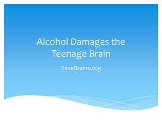 Alcohol Damages the
Teenage Brain
SaveBrains.org
 