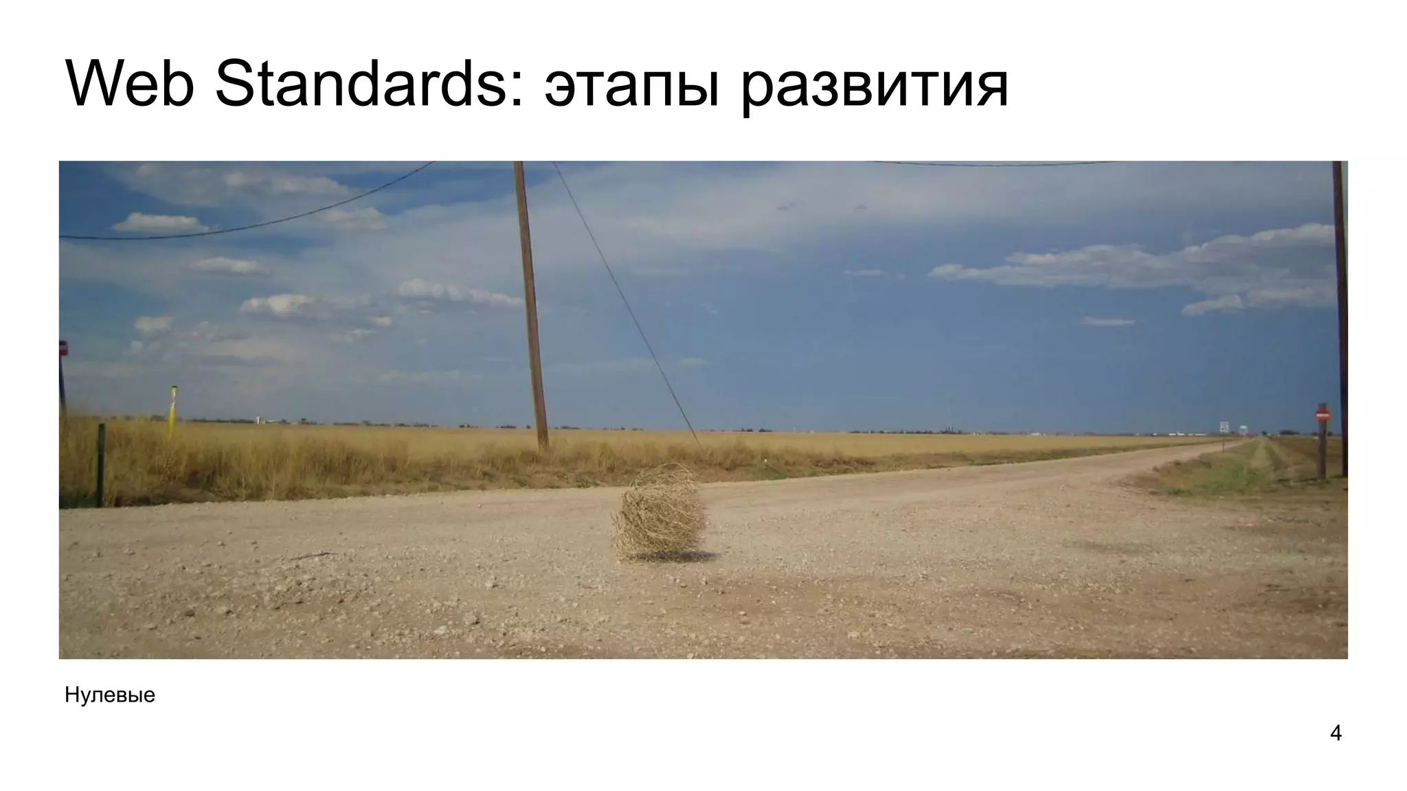Web Standards: этапы развития 
Нулевые 
4 
 
