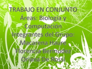 TRABAJO EN CONJUNTOÁreas: Biología y ComputaciónIntegrantes del Grupo: Macarena HaureFlorencia BermúdezOriana De Rossi