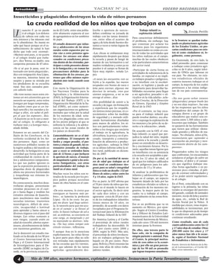 VOCERO NACIONALISTA
Más de 500 años, nuestros hermanos, explotados y oprimidos. Instauremos la Patria Tawantinsuyana4
Actualidad
uancito F. ya no puede
ir al colegio. Los dolores
de cabeza son cada vez
más intensos y las náuseas casi
no lo abandonan. Su mamá no
sabe qué hacer porque en el es-
tablecimiento de salud le han
dicho que todo está «normal».
«Mañoso será pues, si no quiere
ir al colegio tendrá que traba-
jar», dice Teresa, su madre, una
campesina peruana de 43 años.
«Yo sí sé que le pasa, está in-
toxicado con tanto plaguicida»,
dice con resignación Ana López,
su maestra, mientras lanza un
suspiro y pasea su mirada por
los alrededores de su escuelita
rural. Sus ojos cansados pare-
cen saberlo todo.
«He visto tantas veces estos sín-
tomas en mis alumnitos que no
necesito ser experta, estos niños
fumigan por largas temporadas,
los padres creen que es un tra-
bajo sencillo y los mandan a fu-
migar a ellos, sin saber el peli-
gro al que los exponen», dice.
«A Juancito ya no lo van a man-
dar al colegio, lo obligarán a
trabajar más y a fumigar más»,
añade dolida.
Estamos en un caserío del Ca-
llejón de los Conchucos, en la
vertiente occidental de los An-
des peruanos. Aquí, como en
numerosos poblados rurales de
la región andina y del mundo en
desarrollo, la fumigación es una
actividad que forma parte de la
cotidianeidad de cientos de ni-
ños y adolescentes campesinos.
Lo que sus padres ignoran es
que la exposición permanente a
pequeñas dosis de plaguicidas
altera sus procesos hormonales
y resquebraja sus sistemas in-
munológicos.
En consecuencia, muchos desa-
rrollarán alergias, presentarán
extrañas picazones en el cuer-
po o hasta llagas y tendrán los
extraños síntomas de Juancito,
pero muchísimos más tendrán
secuelas internas: trastornos
neurológicos, déficit de aten-
ción, incapacidad o lentitud
para aprender y hasta cáncer a
diversos órganos con el paso del
tiempo. Las niñas sumarán a
esos riesgos, cuando estén en
edad de concebir, abortos espon-
táneos, alumbramiento de bebés
con trastornos genéticos, etc.
Así lo demostró un estudio rea-
lizado en la década de los 90 por
el Centro Internacional de la
Papa y el Centro Internacional
de Investigaciones para el De-
sarrollo (IDRC en inglés) de Ca-
nadá, en la provincia ecuatoria-
La cruda realidad de los niños que trabajan en el campo
Insecticidas y plaguicidas destruyen la vida de niños peruanos
na de El Carhi, entre una pobla-
ción altamente expuesta al uso
de agroquímicos en los sembríos
de papa.
El estudio demostró que infan-
tes y adolescentes de las áreas
rurales están expuestos por va-
rias vías a estos potentes agro-
tóxicos: los envases son alma-
cenados en condiciones preca-
rias dentro de las viviendas, par-
ticipan o están presentes duran-
te la fumigación y no toman las
precauciones debidas para la
eliminación de los envases, pa-
trones que ellos mismos repro-
ducirán más tarde cuando sean
adultos.
Con razón la Organización de
las Naciones Unidas para la
Agricultura y la Alimentación
(FAO), la Organización Interna-
cional del Trabajo (OIT) y la
Organización Mundial de la Sa-
lud (OMS), así como numero-
sas organizaciones no guberna-
mentales que velan por la salud
de los menores de edad, seña-
lan a los plaguicidas como uno
de los peores peligros al que se
enfrenta la infancia y la adoles-
cencia en las zonas rurales de
los países en desarrollo.
Lamentablemente no es el úni-
co problema. El transporte de
fardos y cargas pesadas, el pas-
toreo y crianza de ganado, las ex-
tenuantes jornadas de trabajo,
que a veces se extienden hasta
más de 12 horas, y que incluyen
la apertura de surcos, el manejo
de maquinaria o guiar a las avio-
netas fumigadoras, son otras
particularidades del trabajo in-
fantil en el área rural.
Muchas veces los niños son re-
tirados de la escuela por los pro-
pios padres porque necesitan
mano de obra barata en el cam-
po.
«De esta manera, lo único que
consiguen es hacerse más po-
bres», se lamenta la profesora
López. «Yo lo he visto: los pa-
pás me dicen ‘qué hago señori-
ta, lo necesito para que me ayu-
de en el campo’ y se llevan al
niño, lo hacen trabajar de sol a
sol, se enferma, se convierte en
una carga, es marginado y así
va marcando su destino», rela-
ta. «No hay cómo romper este
círculo vicioso», reflexiona.
Y aunque Ana no lo menciona
explícitamente, las niñas llevan
la peor parte pues ellas no sólo
son retiradas más rápidamente
de las escuelas que los varones,
sino que además de las tareas
agrícolas –generalmente des-
hierbe o apertura de surcos–
deben combinar su jornada de
trabajo con las tareas domésti-
cas, entre ellas el acarreo de
agua y de leña desde fuentes dis-
tantes a veces a varias leguas de
distancia.
«Las chicas se embarazan muy
rápidamente después que dejan
la escuela y pasan de fungir de
mamás de sus hermanitos a ser
madres verdaderas y como ya no
pueden ir al campo se llenan de
hijos muy rápido», señala Ló-
pez.
«A veces las encuentro, con su
hijito a la espalda, las manos
ocupadas con bostas de vaca o
leña para cocinar, algunas me
desvían la mirada, creo que
sienten vergüenza, a mí se me
encoge el alma», dice.
«Sin posibilidad de asistir a la
escuela y de jugar, sin formación
y experiencia que les respalde,
sin instrucciones precisas, ni co-
nocimientos sobre las medidas
de seguridad y a menudo utili-
zando herramientas diseñadas
para manos de adultos, los ni-
ños son particularmente vulne-
rables a los riesgos que encierra
el trabajo en la agricultura, la
silvicultura, la pesca y en el pro-
cesado, transporte y comercia-
lización de alimentos y produc-
tos agrícolas», subraya la FAO
en su último informe sobre la ni-
ñez rural, publicado en diciem-
bre de 2007.
De por sí, la cantidad de meno-
res de edad que trabajan en el
área rural en condiciones ries-
gosas para su salud e integridad
física es todo un desafío: 132 mi-
llones de niños y niñas entre los
5 y 14 años, según la FAO.
Por su parte, la OIT afirma que
el 70 por ciento de niños que tra-
bajan en el mundo lo hacen en
el sector agrícola. Es decir siete
de cada diez niños y con un
agravante: cerca de 20 por cien-
to de los trabajadores infantiles
tienen menos de 10 años, en
promedio, de acuerdo con datos
recopilados por el Programa In-
ternacional para la Eliminación
del Trabajo Infantil de la OIT.
En América Latina y el Caribe
el porcentaje de niños rurales
trabajadores ha descendido 16
al 5 por ciento entre 2000 y
2004, según la FAO. Más aún,
el porcentaje de niños involucra-
dos en trabajos peligrosos ha
bajado en 26 por ciento. Para-
guay, Bolivia y Perú ostentan las
tasas más altas de niños traba-
jadores rurales.
Trabajo infantil vs.
explotación infantil
Para caracterizar debidamente
el problema, sin embargo, hay
que comenzar por aclarar los
términos pues los organismos
internacionales no están en con-
tra de todas las actividades que
los niños realizan en el campo,
muchas de las cuales obedecen
a las particulares características
del sector rural.
«Participar de cierta forma en
actividades de subsistencia de la
familia, en especial si no impli-
ca trabajos pesados o peligrosos,
o no interfiere con la escolari-
zación, es legítimo y puede ser
importante para desarrollar ha-
bilidades necesarias para llegar
a ser agricultor, pescador o sil-
vicultor en la vida adulta», acla-
ra Eve Crowley, de la Dirección
de Género, Equidad y Empleo
Rural de la FAO.
«Por el contrario, no hay excu-
sa para el trabajo infantil que
puede resultar dañino, sea abu-
sivo o suponga la explotación de
los menores y les prive de su de-
recho a la educación», añade.
De acuerdo con la OIT, el «tra-
bajo infantil» es aquel que per-
judica la salud del niño, impide
que asista a la escuela y puede
poner en entredicho su desarro-
llo y crecimiento futuros. Por lo
tanto, aquellas tareas ligeras que
no interfieren con su asistencia
a la escuela son aceptables a par-
tir de los 12 años de edad, al
igual que los trabajos calificados
de no peligrosos para los ado-
lescentes de 15 y 16 años.
Al analizar la problemática de
infantes y adolescentes que tra-
bajan en el campo, un aspecto
bastante dejado de lado por las
estadísticas oficiales se refiere a
la situación de los menores mi-
grantes, la mayor parte de los
cuales va a trabajar al campo,
especialmente en las zonas fron-
terizas.
Ese es un problema que va en
aumento en México, por ejem-
plo. Según el Centro Coordina-
dor y Difusor de Estudios Lati-
noamericanos de la Universidad
Nacional Autónoma de México,
cada año unos 150 mil menores
intentan pasar la frontera.
De ellos, una tercera parte lo
hace solo, sin la compañía de
ningún pariente o amistad. Para
el Centro, la principal motiva-
ción de esos niños es la econó-
mica y por ello un gran porcen-
taje de los 90 mil en promedio
que logran trasponer anualmen-
te la frontera se quedan traba-
jando en plantaciones agrícolas
de los Estados Unidos, en pre-
carias condiciones pues no exis-
ten ni como ciudadanos ni, le-
galmente, como personas.
En Guatemala, de otro lado, la
edad promedio para comenzar
a trabajar como jornaleros agrí-
colas es de 6 años, según infor-
mes de ONGs que laboran en
ese país. No obstante, no exis-
ten estadísticas oficiales de
cuántos menores trabajan en el
campo, la mayoría de los cuales
pertenecen a las etnias indíge-
nas de ese país centroamerica-
no.
«No nos gusta echar veneno
(plaguicidas) porque huele feo
y no nos deja respirar», fue una
de las respuestas que los niños
trabajadores del campo de Ni-
caragua dieron a un grupo de
educadores que realizó una en-
cuesta entre 1,500 niños y ado-
lescentes que trabajan. También
se quejaron de las herramientas
que tienen que utilizar «dema-
siado grandes y difíciles de ma-
nejar». No obstante, niños al fin,
reconocieron que «aprender a
manejarlas da prestigio y reco-
nocimiento dentro de los cam-
pesinos».
Preguntados sobre los riesgos
que confrontan, los encuestados
señalaron el peligro de sufrir un
accidente, el dolor y el cansan-
cio que significa trabajar mu-
chas horas agachados o en po-
siciones poco cómodas, el peli-
gro de contraer enfermedades y
el no poder asistir regularmen-
te al colegio.
En el Perú, coincidiendo con su
ingreso a la primaria, las niñas
rurales se encargan del pastoreo
del ganado, cuidado de animales
menores, recojo de leña y acarreo
de agua, etc., señala la Red de
Acción Social por la Niñez. A
medida que crecen, estas respon-
sabilidades se incrementan, por
lo que no disponen ya de tiempo
ni condiciones adecuadas para
continuar estudiando.
Como resultado, una de cada
cuatro adolescentes entre los 12
y 17 años deja de estudiar. Otras
200.000 entre los cinco y 17
años nunca han ido a la escue-
la, según el Instituto Nacional
de Estadística e Informática.
Fuente: Servicio de Noticias de la Mu-
jer de Latinoamérica y el Caribe-SE-
Mlac www.redsemlac.net
J Zoraida Portillo
YACHAY N° 25
 