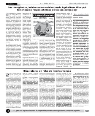 VOCERO NACIONALISTA
¡El Apra sólo defiende intereses de las grandes transnacionales que roban y saquean la patria!6
Política YACHAY N° 25
Los transgénicos, la Monsanto y su Ministro de Agricultura. ¿Por qué
temer asumir responsabilidad de las consecuencias?
Por: Sacha Barrio Healey
supuesto, Minag.
Un genetista renombrado
y lucido, ha señalado que
para comprender los ries-
gos de los transgénicos no
se necesita ser un genetis-
ta, ni especialista sobre el
tema, tan solo tener sen-
tido común. El pueblo pe-
ruano agricultor ha de-
mostrado tener más sen-
tido común que los espe-
cialistas y las autoridades
competentes del país.
Como es natural está in-
dignado. Indignados es-
tán también todos los
consumidores del Perú (y
del mundo) que no solo
carecen de etiquetado de
sus alimentos, pero aho-
ra además sin una ley in-
ternacional que los ampa-
re y proteja. Por el bien-
estar de nuestra salud y la
del medio ambiente espe-
remos que esta inaudita
situación sea investigada
y corregida.
E
prácticas comerciales? ¿Por
qué sabotea el trabajo de 7
años de 140 países en buscar
una legislación a todas luces
justificada? ¿Por qué si el mun-
do se preocupa por la salud de
su gente, la delegación perua-
na la desprecia? ¿Cuáles son
los intereses que están defen-
diendo? Si están tan seguros de
que la biotecnología no tendrá
impactos negativos ¿por qué
no comprometerse con asumir
la responsabilidad de las con-
secuencias, cualesquiera que
fuesen?
Es un hecho conocido pública-
mente que Monsanto ha co-
rrompido a funcionarios esta-
tales en diferentes países, el
caso más publicitado fue en
Indonesia, donde por coimas
de 900,000 dólares lograron
abrir las puertas a los transgé-
nicos. En el Congreso de la
República se ha postergado ya
demasiadas veces el esperado
debate de la ley de biotecnolo-
gía. Al parecer los lobbistas
de transgénicos han calcu-
lado bien, y saben que en
ese campo de batalla tienen
todas las de perder. Los del
partido Nacionalista difícil-
mente van a abrirles las
puertas a las trasnaciona-
les, el APRA también tiene
conocidos opositores, y en-
tre el Fujimorismo, hay ins-
trucciones de no favorecer
a la industria transgénica.
Viéndose aislados no han
tenido mejor mecanismo
que la muñeca de sus in-
fluencias políticas, posible-
mente otras influencias que
no quisiéramos imaginar, y
han logrado que esta tras-
cendental decisión sea vis-
ta con mayor discreción y
anonimato por las autori-
dades competentes del eje-
cutivo, llámese: INIA, SE-
NASA, DIGESA, Minsa,
Cancillería, Ministerio de
Pesquería, CONAM, y por
s insólito, de 140 países
solo el Perú y Paraguay
han votado en contra
de una legislación sobre res-
ponsabilidad civil y compensa-
ción por daños debido a los
transgénicos. No podemos en-
contrar, ni remotamente, una
explicación lógica a esta situa-
ción, sin embargo, ante los ojos
atónitos de los delegados inter-
nacionales, así se dieron las co-
sas. Al parecer, según versio-
nes confidenciales que salen
del CONAM, el Ministro de
Agricultura Ismael Benavides
pasó por encima de la cancille-
ría e infiltró a su amigo Alexan-
der Grobman en una reunión
internacional celebrada en
Bonn, Alemania en mayo de
este año.
No podemos encontrar otro
adjetivo que no sea “vergüen-
za” para todos los peruanos. El
Perú ha saboteado una inicia-
tiva que 140 países del planeta
han preparado durante 7 años.
Por ser una ley vinculante y
pactada por consenso se pos-
terga la revisión de esta legis-
lación hasta el 2010. Más exac-
to será decir que no es el Perú
el que toma esta decisión, con
alevosía lo hizo un puñado de
peruanos lobistas, sobre quie-
nes pesará la traición en su
conciencia. Resulta difícil pen-
sar que sea una casualidad la
participación de
un lobbista de los
transgénicos en-
tre la delegación
peruana en Ale-
mania, más aun
cuando sabemos
que no ejerce
ningún cargo pú-
blico. En nuestro
país tenemos un
grupúsculo de lo-
bbistas de trans-
génicos. Algunos
de ellos, (como
nuestro minis-
tro) son empre-
sarios que se de-
dican a la agricul-
tura intensiva o
al negocio de las
semillas. Dan discursos apolo-
gistas sobre transgénicos y,
cual filántropos magnánimos,
predican por todo el país que
solo la tecnología transgénica
nos salvará del hambre. Una
apocalíptica historia ya harto
repetida por la Monsanto, que
busca atemorizar a la gente con
dogmas que carecen de susten-
to científico.
Claramente Monsanto ha lo-
grado su propósito, y sobre el
Ministro de Agricultura se abre
ahora una gran interrogante.
¿Qué interés tiene la delega-
ción peruana en proteger a la
Monsanto de sus cuestionables
Biopiratería, un robo de nuestro tiempo
D plantas medicinales que allí cre-
cen. La ONU calcula que esa
práctica pirata supone más de
doce mil millones de dólares
anuales para algunas grandes em-
presas farmacéuticas.
En España desde hace tiempo hay
una campaña publicitaria institu-
cional que, en resumen, viene a
decir que si coger un bolso, un
coche o un electrodoméstico es un
robo, también lo es grabar pelícu-
las o discos musicales de Internet
sin permiso y sin abonar nada y
que será castigado por la ley. Se-
ría necesario y admirable que ese
afán para defender los derechos de
propiedad de las multinacionales
de música enlatada y productoras
de cine se trasladase con el mis-
mo entusiasmo a la defensa de la
biodiversidad y de productos y
conocimientos indígenas de todo
el mundo. Porque la biopiratería
es sencillamente un robo y como
tal debería ser tratado.
esde la segunda mitad del
siglo XX, empresas mul-
tinacionales esquilman
zonas de la biodiversidad
y se apropian de conocimientos in-
dígenas de países empobrecidos.
Lo perpetran amparados por una
legislación injusta sobre protec-
ción de la propiedad intelectual
que ha ido a peor en los últimos
años de la mano de la Organiza-
ción Mundial del Comercio
(OMC). Este modo de apropiación
indebida es sencillo y no precisa
del recurso a revólveres, pistolas
automáticas o metralletas. Se tra-
ta de coger un producto utilizado
tradicionalmente o una planta
propia de una zona, averiguar su
composición, añadirle algún ele-
mento para simular que es distin-
to, y registrarlo en una oficina de
patentes. Tal vez sea hora de po-
ner en cuestión las vigentes nor-
mas de protección de la propiedad
intelectual y, muy especialmente,
las referentes a la inscripción de
patentes. No se trata de eliminar
la protección de la propiedad in-
telectual sino de que ésta este pre-
sidida por la justicia y no por el
afán desmedido y acelerado de be-
neficios.
En 1954, la empresa británica
Phytopharm patentó el extracto
de una planta denominada Arte-
misa Judaica…que usaban en
Egipto y Libia desde mucho tiem-
po atrás para tratar la diabetes.
Tenemos noticias desde hace dé-
cadas de esas actuaciones que de-
nominamos biopiratería, el acce-
so y uso irregular, ilegal, a com-
ponentes de la biodiversidad (so-
bre todo recursos biológicos y ge-
néticos). También es biopiratería
la apropiación ilegítima de los co-
nocimientos indígenas asociados
a esos recursos; dichos compo-
nentes y conocimientos son paten-
tados impunemente por empresas
multinacionales, protegidas por la
vigente legislación de propiedad
intelectual. Esas empresas preten-
den que las fórmulas que registran
son patentes, cuando en realidad
son componentes o conocimien-
tos indígenas obtenidos sin el con-
sentimiento ni autorización de
éstos, a cuyas composiciones aña-
den algún elemento para diferen-
ciarlas del original pirateado. La
biopiratería en esencia es la ex-
plotación, manipulación, exporta-
ción y comercialización interna-
cional de recursos biológicos que
infringen las normas de la Con-
vención sobre Diversidad Bioló-
gica de 1992.
Recientemente, un dictamen de la
Oficina de Patentes de Estados
Unidos ha abierto una brecha y
una esperanza en la ilegítima e ilí-
cita apropiación de recursos bio-
lógicos y conocimientos tradicio-
nales indígenas. El llamado caso
Enola. La empresa de semillas
Proctor de Colorado (EEUU), tras
una serie de maniobras y simula-
ciones, patentó el fríjol amarillo
que se consume en México desde
hace siglos. Proctor exigió enton-
ces algo más de medio dólar por
cada libra de fríjol amarillo que se
importara; hundió las importacio-
nes y se apropió del mercado de
ese producto. En México no po-
dían creer que les hicieran pagar
como algo inventado por un ex-
tranjero lo que les alimentaba des-
de hace siglos. No ha sido el úni-
co caso. En 1986 se dio otro he-
cho sonado de biopiratería cuan-
do se patentó un compuesto de
ayahuasca hervida con el arbusto
chacruna y otras hierbas que los
chamanes de la Amazonia usan
desde tiempo inmemorial como
psicotrópico y para tratamientos
cardiopáticos.
No toda la biopiratería es tan evi-
dente ni con tanta desfachatez,
pero el Instituto Desmonds de
EEUU ha documentado hasta
treinta y seis casos de flagrante
biopiratería en África en los últi-
mos tiempos. La Amazonía es otra
región sometida a la más intensa
biopiratería. El gobierno de Bra-
sil sospecha que algunas presun-
tas ONG que en esa zona actúan
no son más que tapaderas de mul-
tinacionales farmacéuticas dedi-
cadas a robar algunas de las com-
binaciones que los indígenas uti-
lizan para curar dolencias a par-
tir de las más de mil trescientas
Xavier Caño Tamayo
Transgénico: Plan de exterminio de la población andino amazónica
 