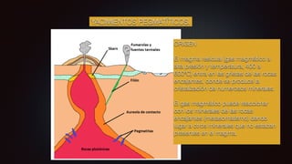 YACIMIENTOS PEGMATÍTICOS.
ORIGEN
El magma residual (gas magmático a
alta presión y temperatura, 400 a
600ºC) entra en las grietas de las rocas
encajantes, donde se produce la
cristalización de numerosos minerales.
El gas magmático puede reaccionar
con los minerales de las rocas
encajantes (metasomatismo) dando
lugar a otros minerales que no estaban
presentes en el magma.
 
