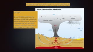 YACIMIENTOS MAGMÁTICOS VOLCANOGÉNICOS
ORIGEN
En los fondos oceánicos la
actividad volcánica produce la
salida de
fl
uídos que arrastran
minerales que se depositan
formando acúmulos al pie de
las FUMAROLAS NEGRAS
 