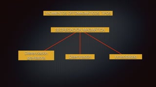 YACIMIENTOS ORTOMAGMÁTICOS. TIPOS
SEGREGACIÓN MAGMÁTICA
Diferenciación
gravitatoria Inmiscibilidad
Diseminación
 