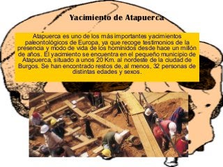 Yacimiento de Atapuerca
Atapuerca es uno de los más importantes yacimientos
paleontológicos de Europa, ya que recoge testimonios de la
presencia y modo de vida de los homínidos desde hace un millón
de años. El yacimiento se encuentra en el pequeño municipio de
Atapuerca, situado a unos 20 Km. al nordeste de la ciudad de
Burgos. Se han encontrado restos de, al menos, 32 personas de
distintas edades y sexos.
 