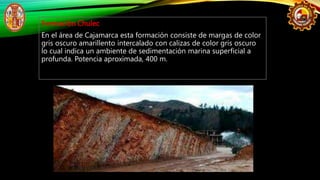 Formación Pariatambo:
La formación Pariatambo está constituída
generalmente de calizas, lutitas y margas
bituminosas de co...