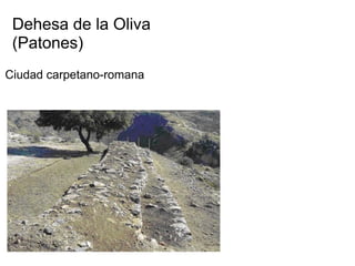 Dehesa de la Oliva
(Patones)
Ciudad carpetano-romana
 