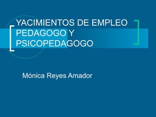 YACIMIENTOS DE EMPLEO PEDAGOGO Y PSICOPEDAGOGO Mónica Reyes Amador 