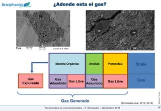 @Beicip-Franlab
¿Adonde esta el gas?
Arcillas Porosidad
Gas
Adsorbido
Gas Libre
Materia Orgánica
Gas
Adsorbido
Gas Libre
Gas Generado
Gas
Expulsado
18
Shale
Gas
Yacimientos no convencionales – F. Schneider – Diciembre 2014
(Schneider et al, 2013, 2014)
 
