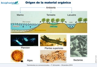 @Beicip-Franlab
Origen de la material orgánica
Yacimientos no convencionales – F. Schneider – Diciembre 2014
Marino
Ambiente
Terrestre Lacustre
Algas Bacterias
Plantas superiores
Plancton
 