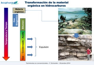 @Beicip-Franlab
Transformación de la material
orgánica en hidrocarburos
Yacimientos no convencionales – F. Schneider – Diciembre 2014
Temperatura
y
Tiempo
Materia
orgánica
Gas
Biogenico
Bitumen
Gas
–
Condensado
-
Aceite
(F. Schneider., 2006)
From Smithsonian Collection
Expulsión
 