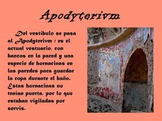 Apodyterivm Del vestíbulo se pasa al Apodyterivm : es el actual vestuario, con bancos en la pared y una especie de hornacinas en las paredes para guardar la ropa durante el baño. Estas hornacinas no tenían puerta, por lo que estaban vigiladas por servis. 