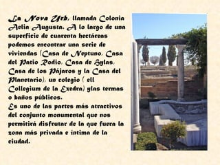 La  Nova Urb ,  llamada Colonia Aelia Augusta. A lo largo de una superficie de cuarenta hectáreas podemos encontrar una serie de viviendas (Casa de Neptuno, Casa del Patio Rodio, Casa de Hylas, Casa de los Pájaros y la Casa del Planetario), un colegio ( ell Collegium de la Exedra) ylas termas o baños públicos.  Es uno de las partes más atractivos del conjunto monumental que nos permitirá disfrutar de la que fuera la zona más privada e íntima de la ciudad.  