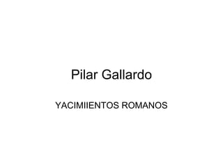 Pilar Gallardo

YACIMIIENTOS ROMANOS
 