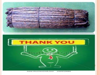 Processing of Vanilla.