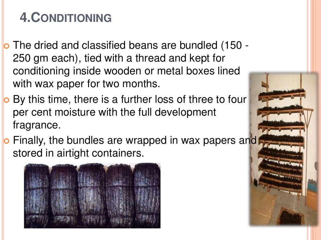 Processing of Vanilla.