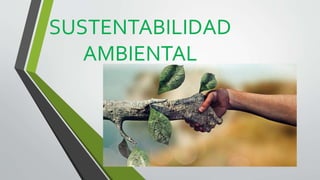 SUSTENTABILIDAD
AMBIENTAL
 