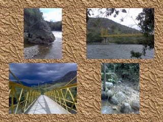 Y E N N Y  L O R E N A