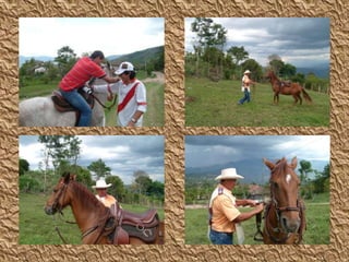 Y E N N Y  L O R E N A