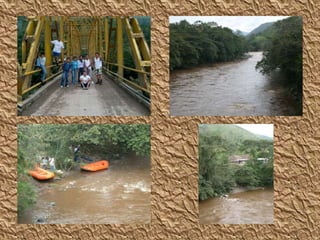 Y E N N Y  L O R E N A