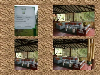 Y E N N Y  L O R E N A